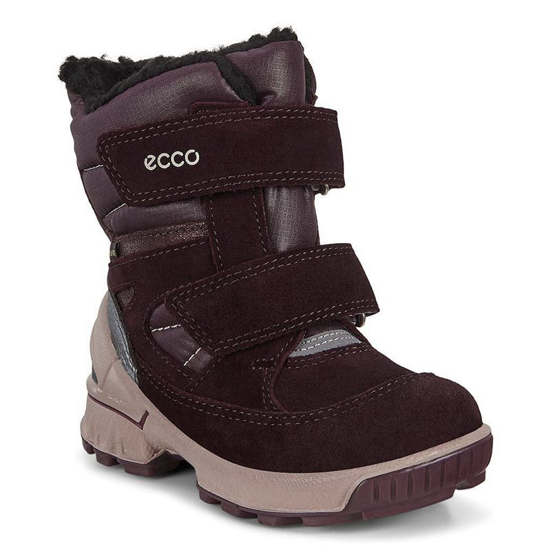 Kids ECCO BIOM HIKE INFANT - Boots Purple - India ULGQOA412